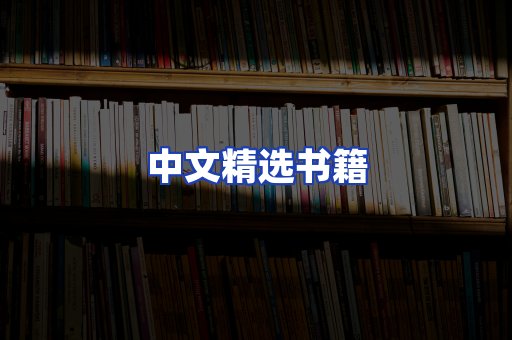 中文精选书籍